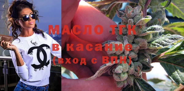 крисы Надым