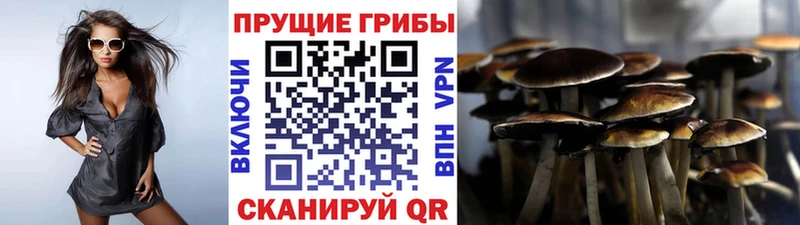 Псилоцибиновые грибы мухоморы  hydra tor  Хадыженск  купить наркоту 