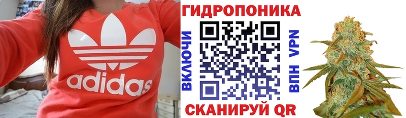 купить наркотик  Хадыженск  МАРИХУАНА марихуана 